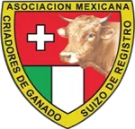 Logo recortado original